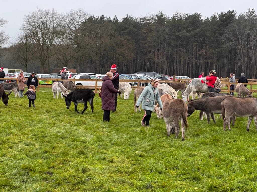 Open Dag bij De Ezelshoeve