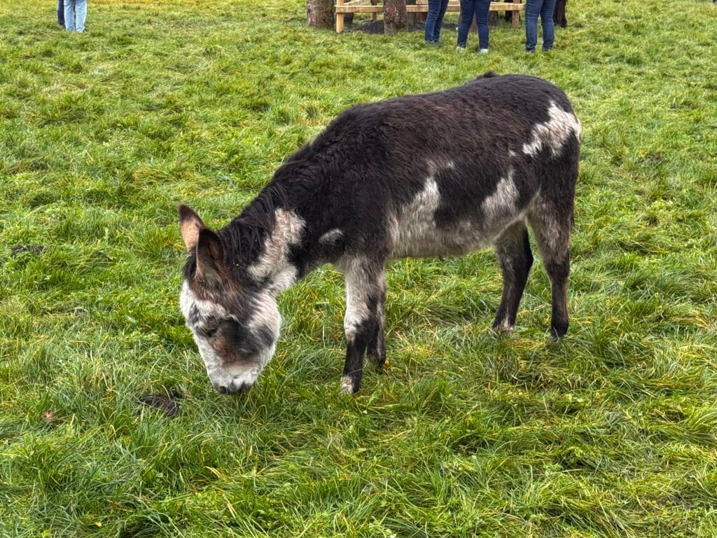 Open Dag bij De Ezelshoeve